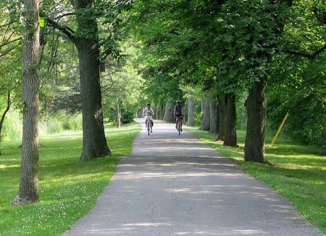 Two cyclists ride along a tree-lined paved path through a green park.